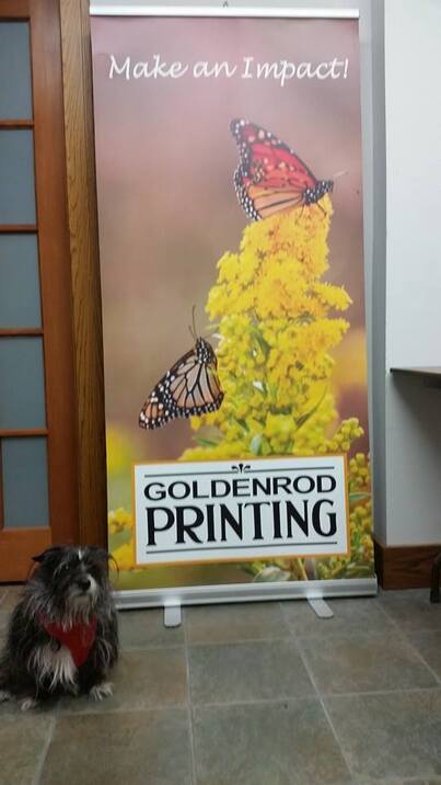 Picture of Rocky, a dog, sitting in front of a pull up banner with Monarch imagery with Goldenrod Printing's Logo.